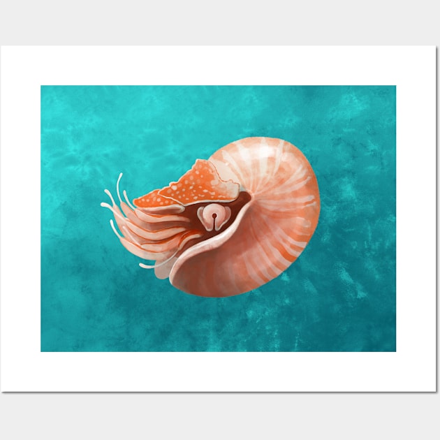 Chambered Nautilus Wall Art by JFells